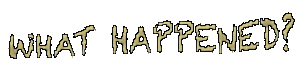 What Happened?